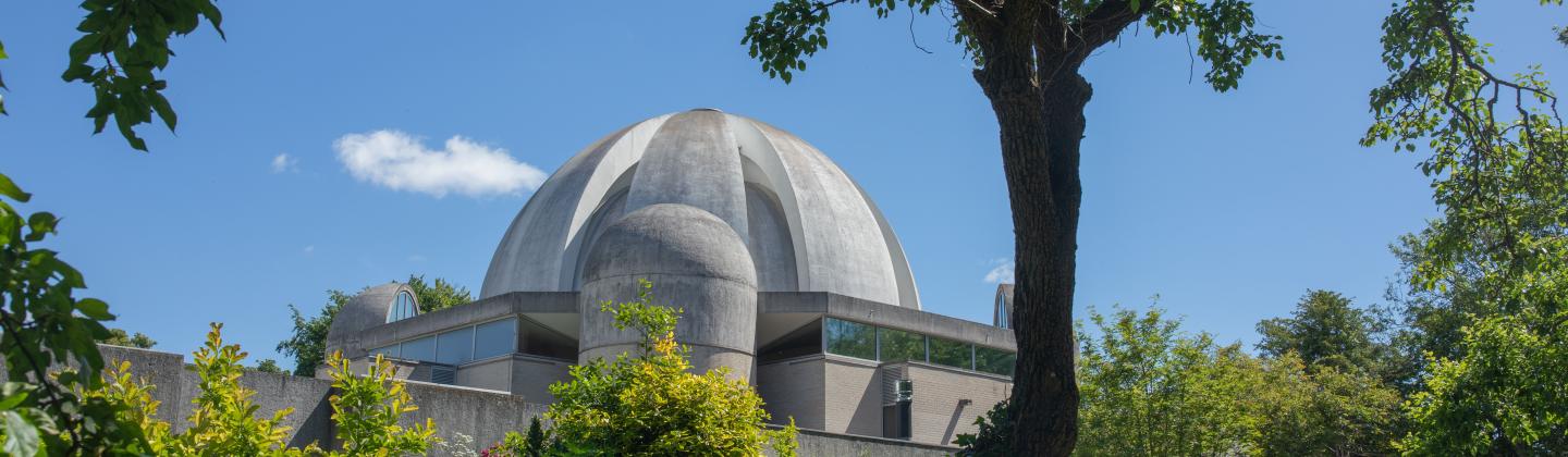 View of the Dome through trees
