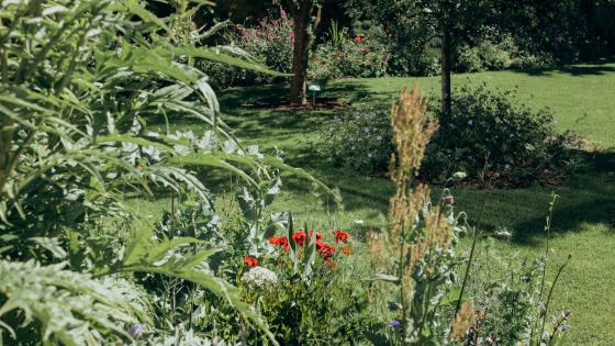 The college garden, with the lawn in focus