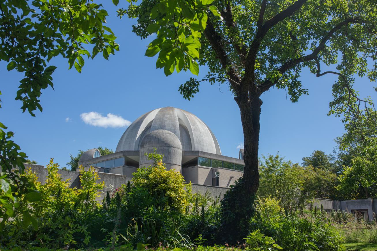 View of the Dome through trees