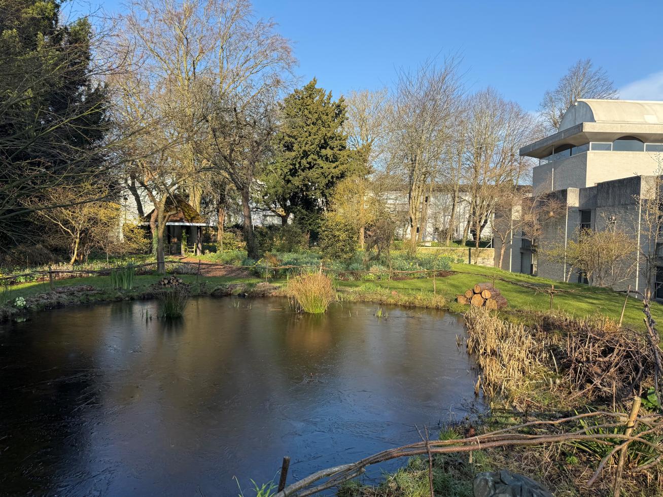 A wide pond with a low fence made from branches. In the background , the college library exterior and wooded area. 